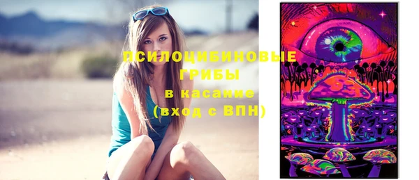 крисы Белоозёрский