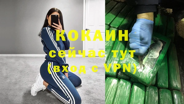 крисы Белоозёрский