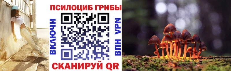 продажа наркотиков  Большой Камень  Галлюциногенные грибы MAGIC MUSHROOMS 